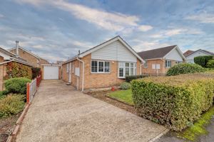 Frontal- click for photo gallery